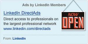 Linkedin - Professionals On The Largest Professional Network
